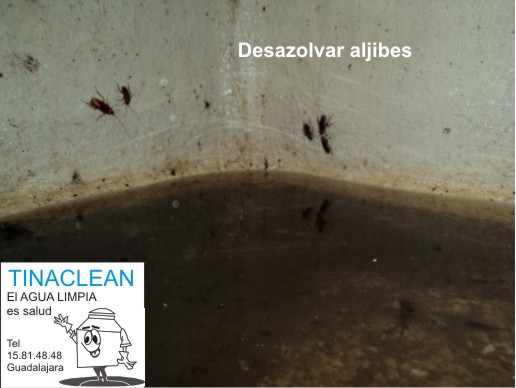 Servicio de lavado de aljibes en Guadalajara y Zapopan DE material  cemento 