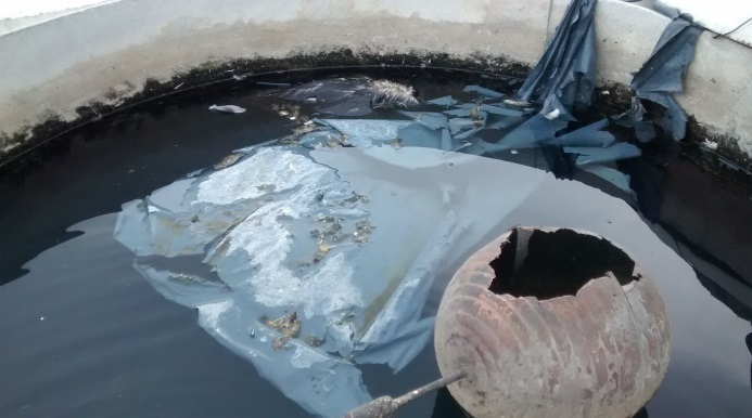 Lavado de tinacos de plastico contaminados con palomas ahogaradas lodo basura desazolve en Gudalajara 