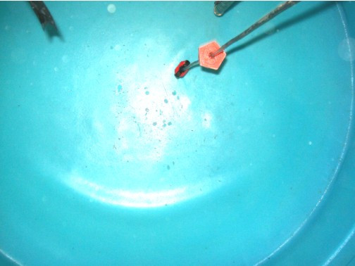 reparacion de cisternas con  fugas de agua filtraciones fisuras grietas rajadas